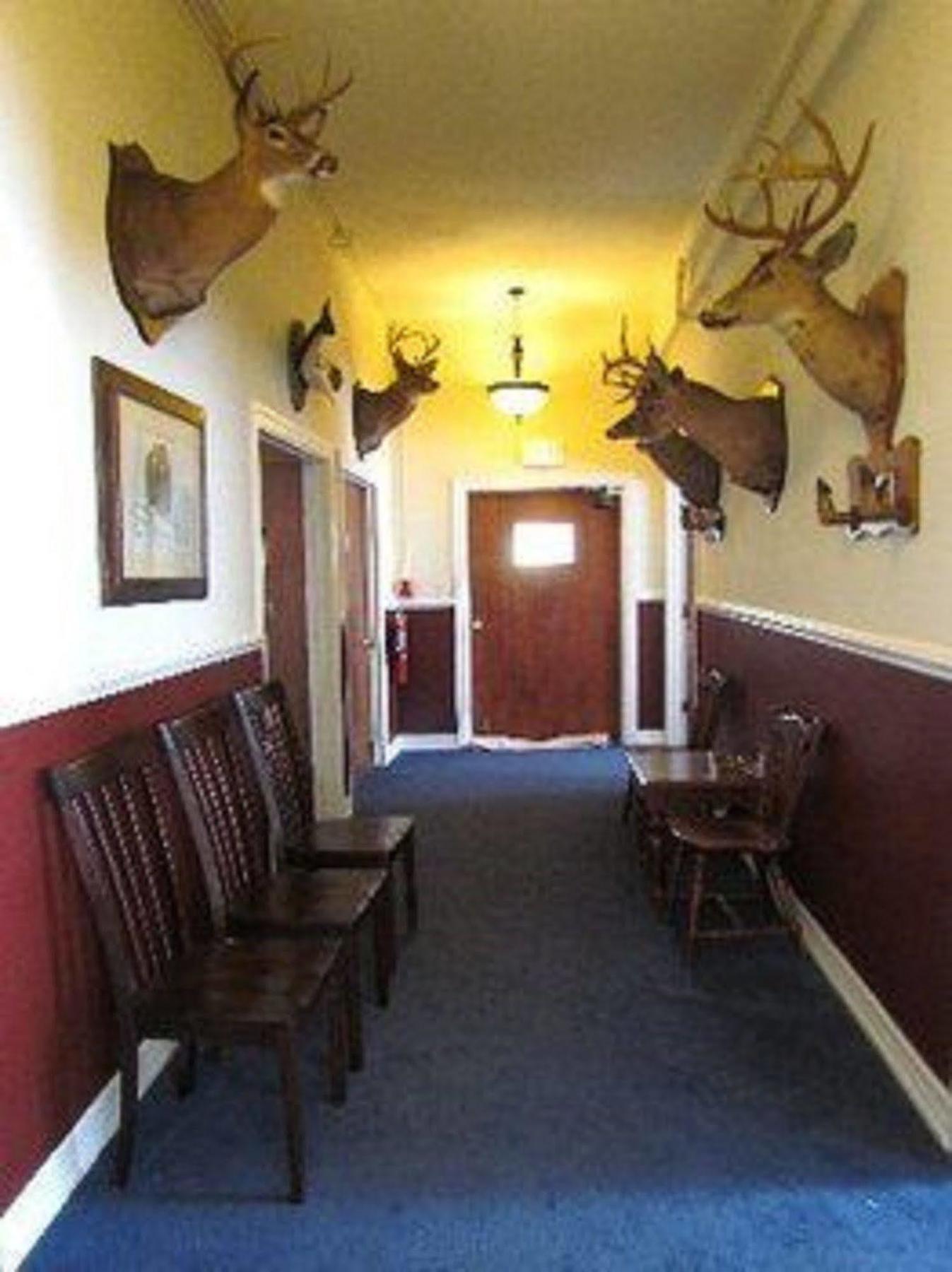 Macarthur Inn Narrows Esterno foto